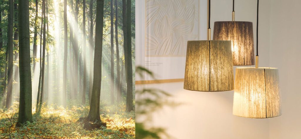 Skovens Lys, Forest Rays Kollektionen